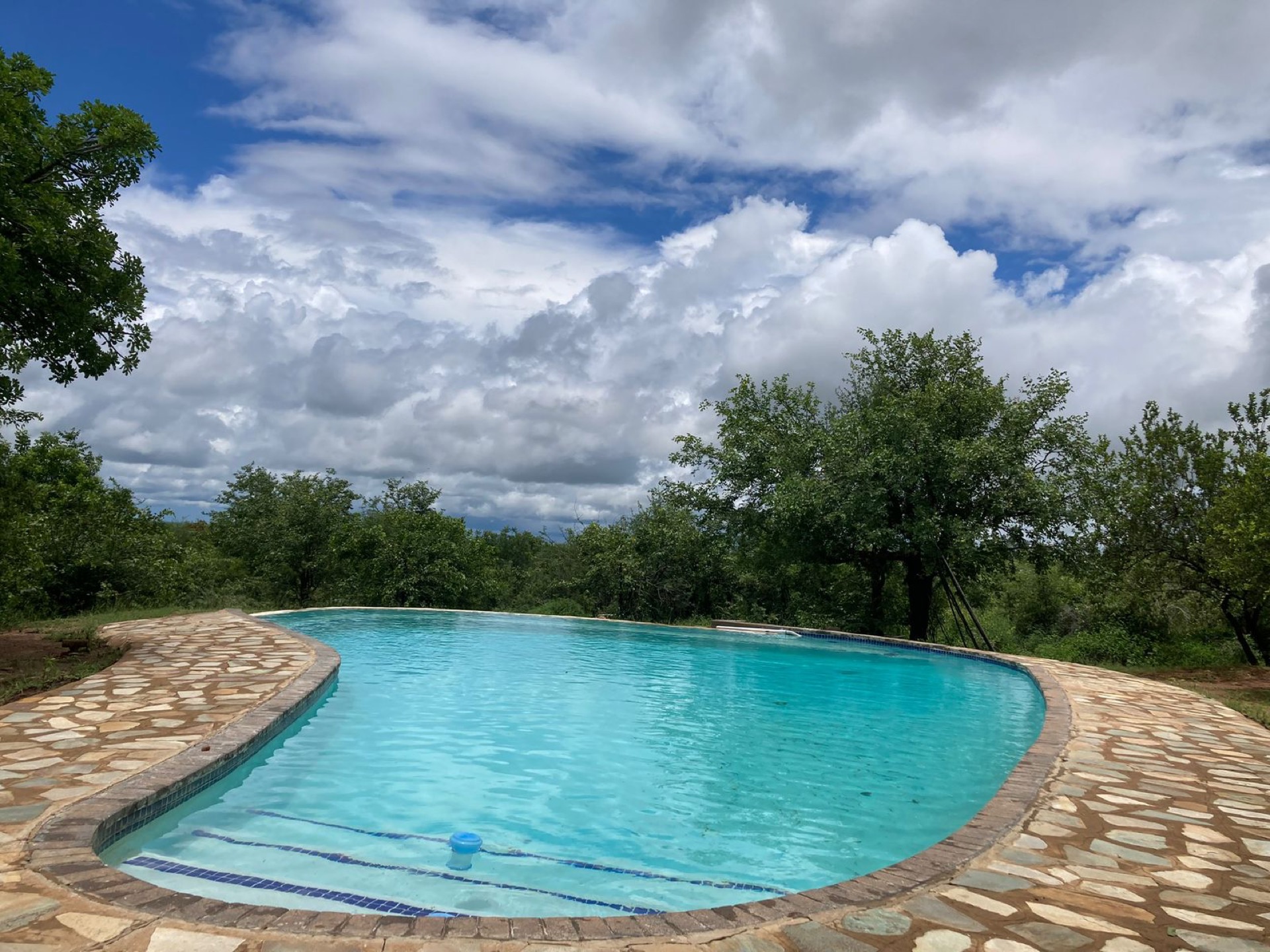 The estate's stone-edged pool looking out over the reserve