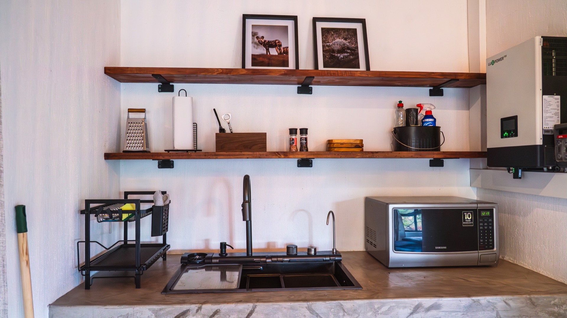Kitchen sink and prep counter below framed wildlife prints